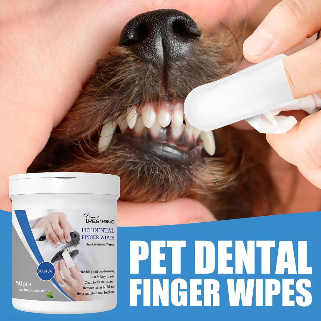 Can of 50 disposable dog dental finger stalls for teeth cleaning and plaque removal