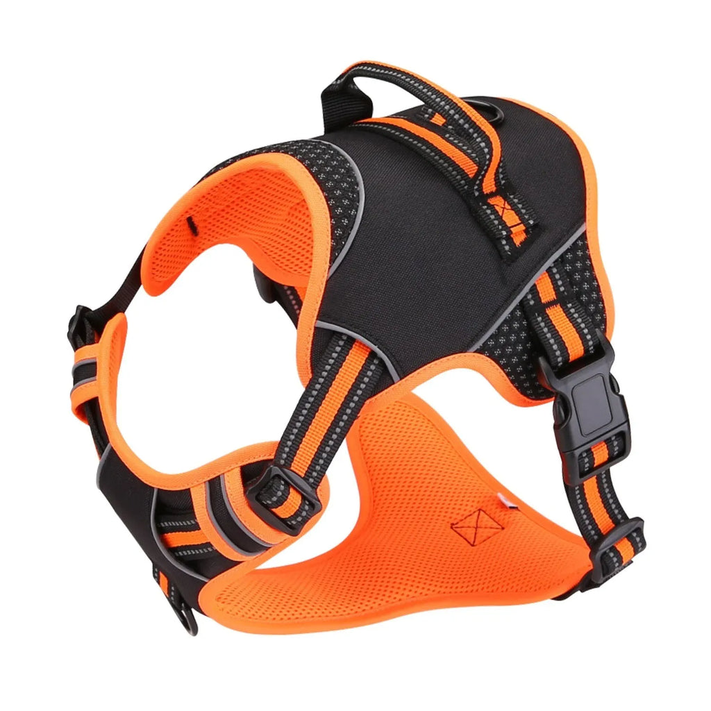 Orange polyester dog harness and leash set with anti-escape design shown on medium-sized dog