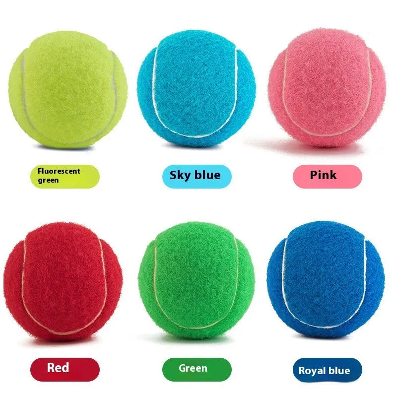 Rubber dog tennis ball toy in assorted colours with 6.3cm diameter for bite-resistant fetch games