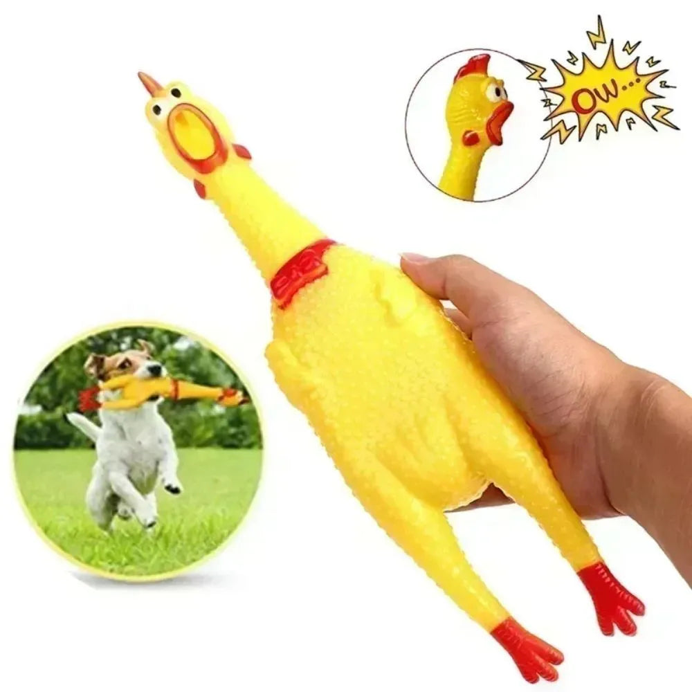 Yellow rubber screaming chicken dog squeak toy shown in three different sizes