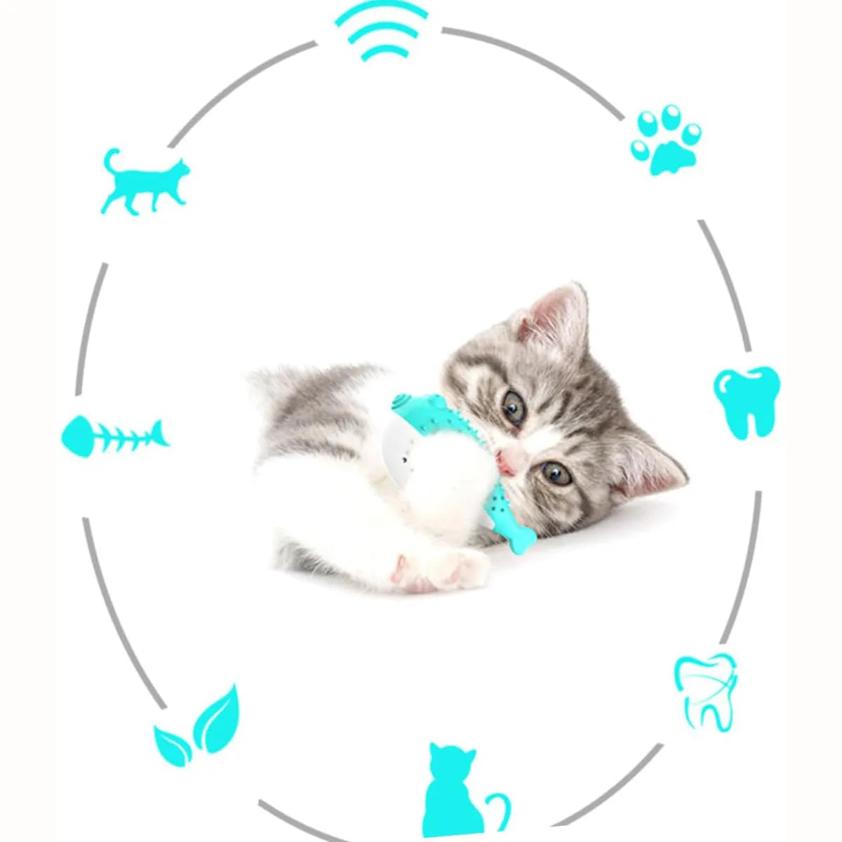 Blue silicone fish-shaped cat chew toy and teaser on a white background