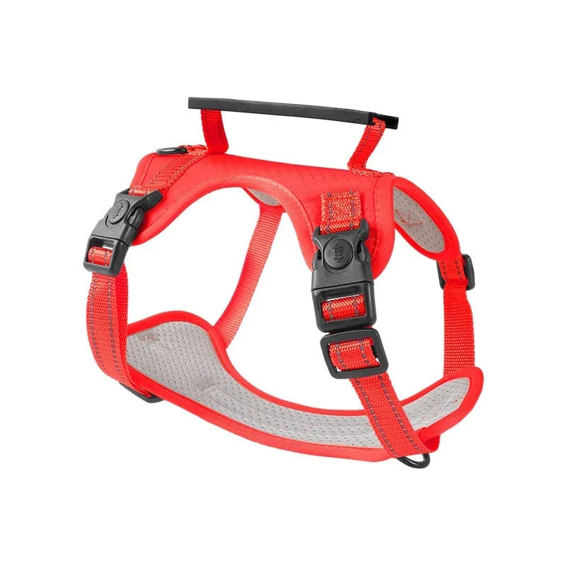 Adjustable dog chest harness with matching lead in multiple colour options
