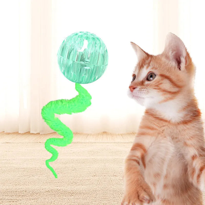 Interactive bouncy ball cat toy with worm tail in green, pink, or purple colours