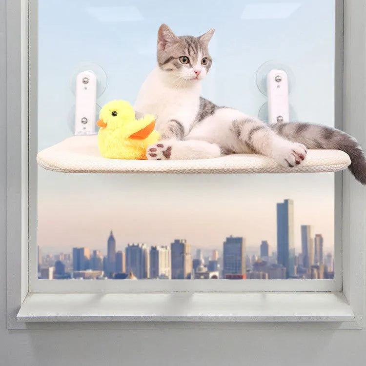 Stainless steel cat hammock with suction cups mounted on a window, showing a foldable seat cushion.