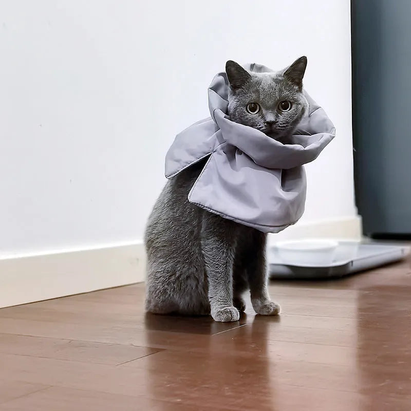 Soft adjustable cat recovery cone collar in light blue with elastic buckle for wound protection