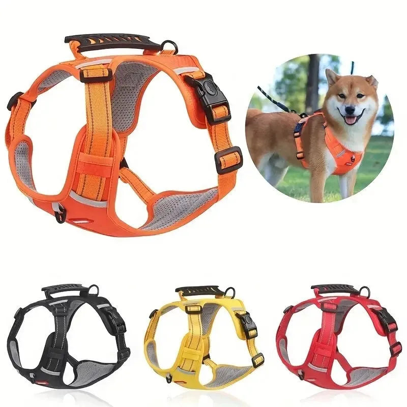 Adjustable dog chest harness with matching lead in multiple colour options