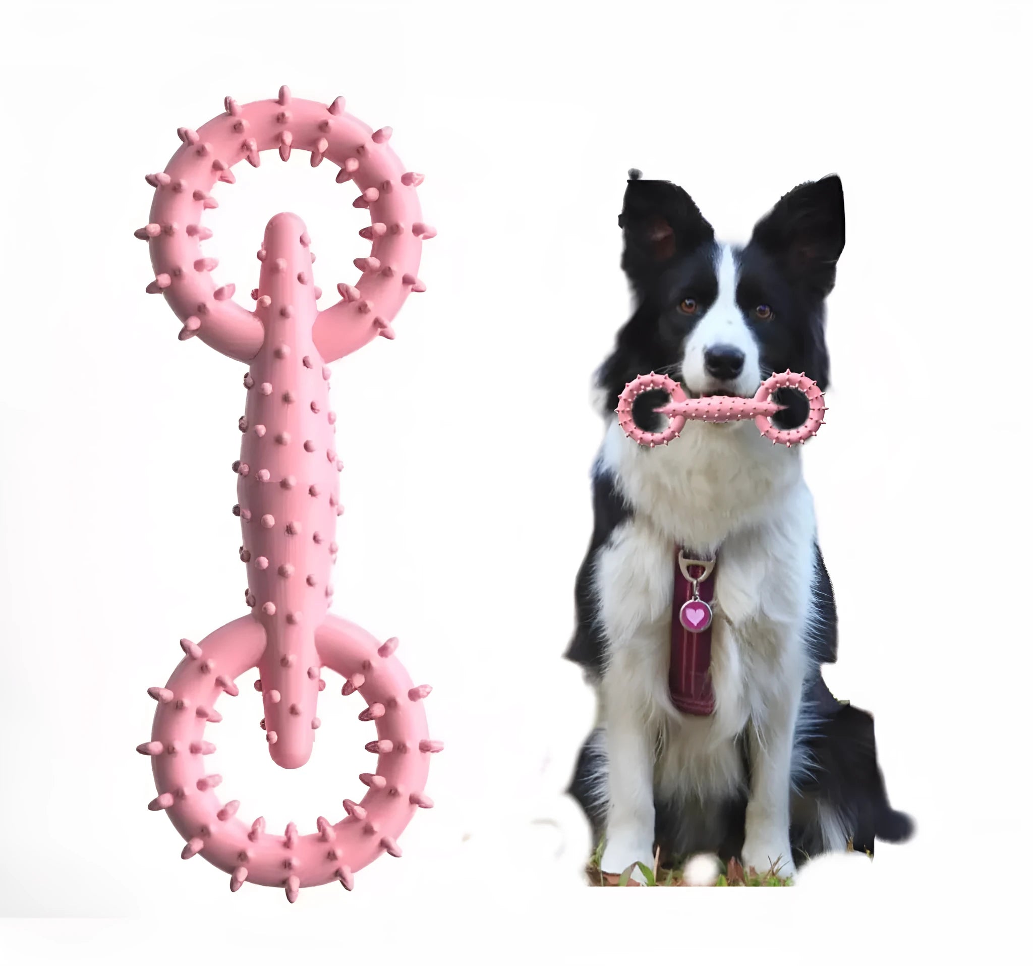 Blue TPR dog chew ring toy for puppy teething, 16cm diameter with green and pink colour options