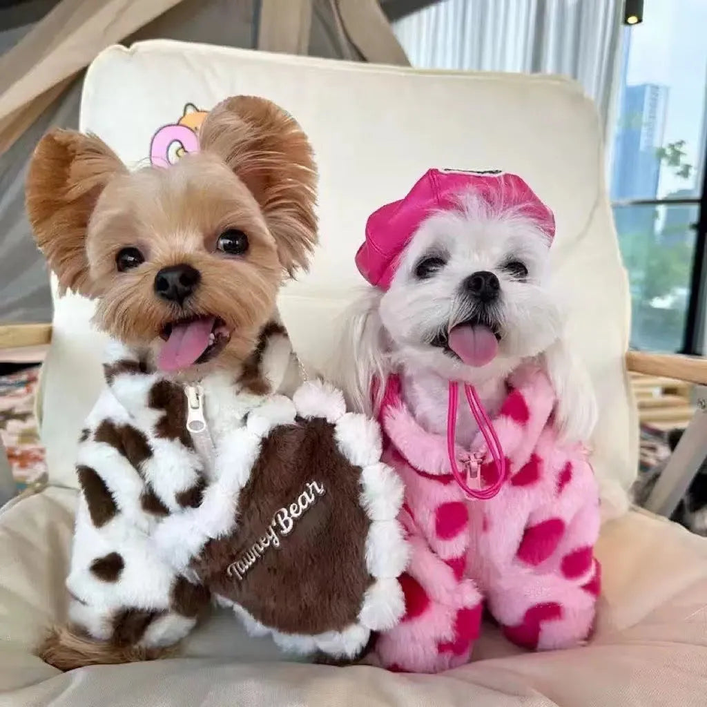 British style pink polyester warm coat on a small white dog, showing the fit and traditional design.