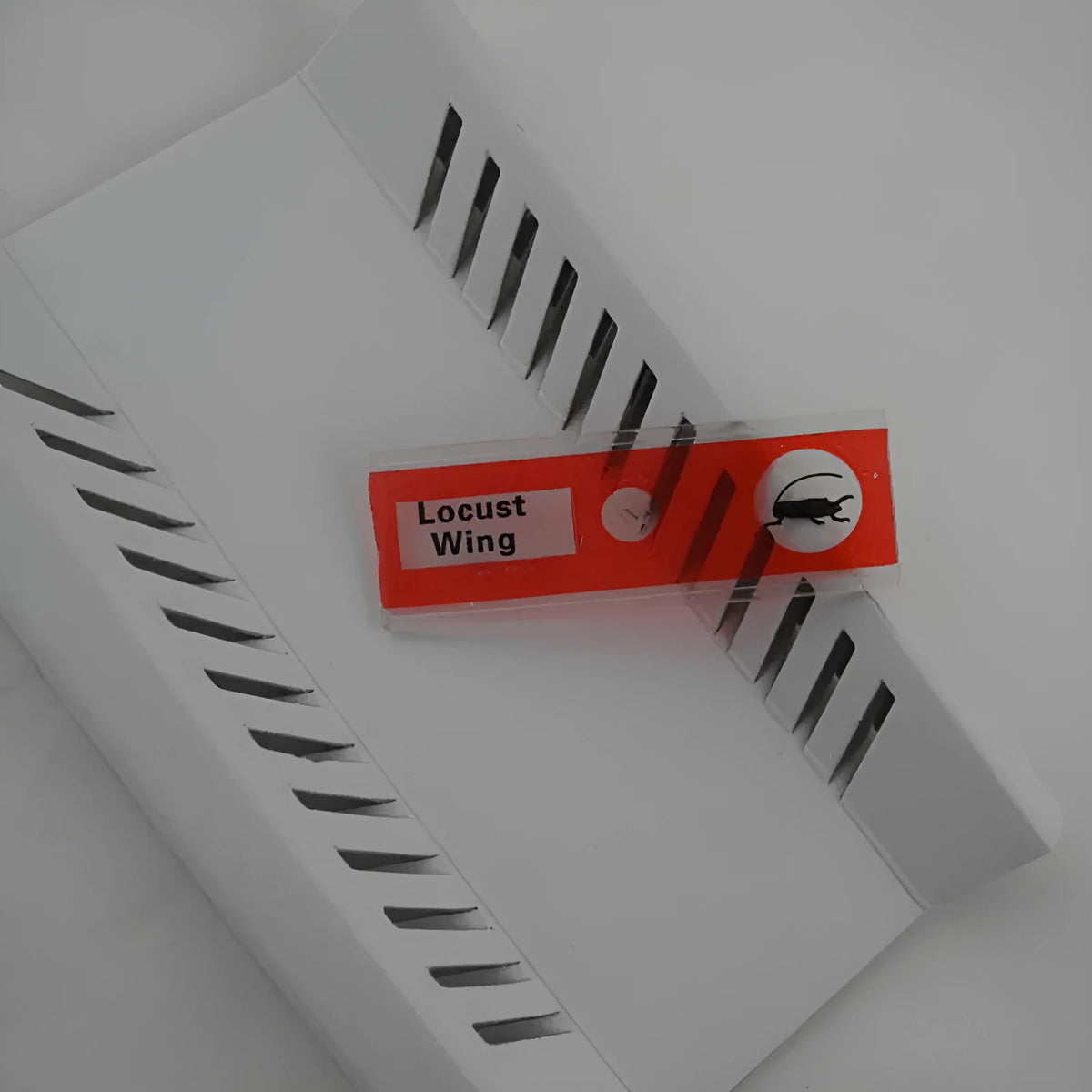 48 plastic microscope slides with biological specimens in red, green, yellow, and blue colour-coded boxes