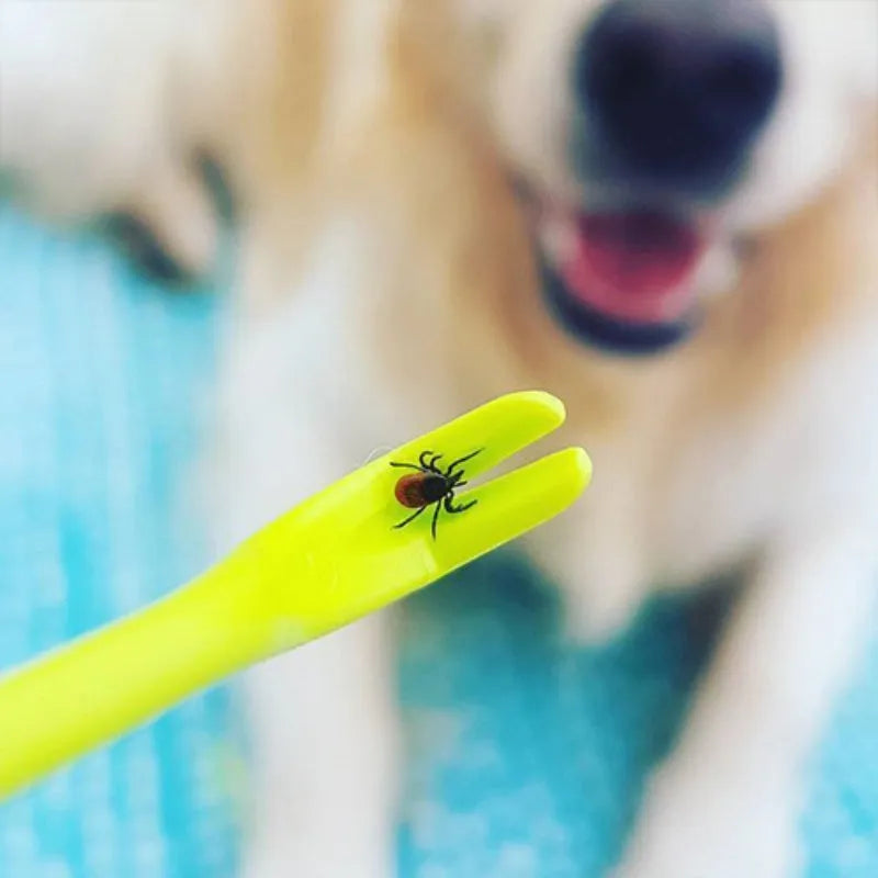 Blue and green plastic pet tick removal clips on a white background