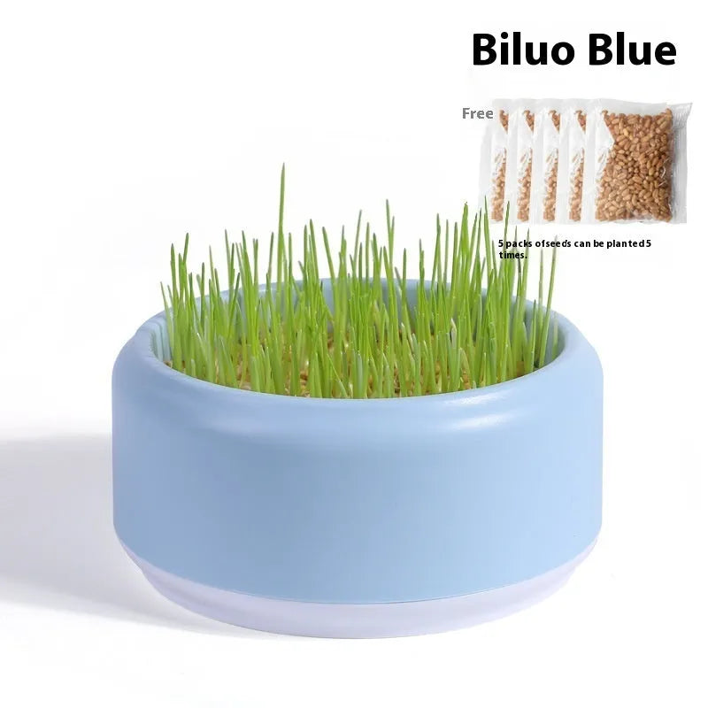 Hydroponic cat grass kit with blue, green and yellow growing cup options and seed packs