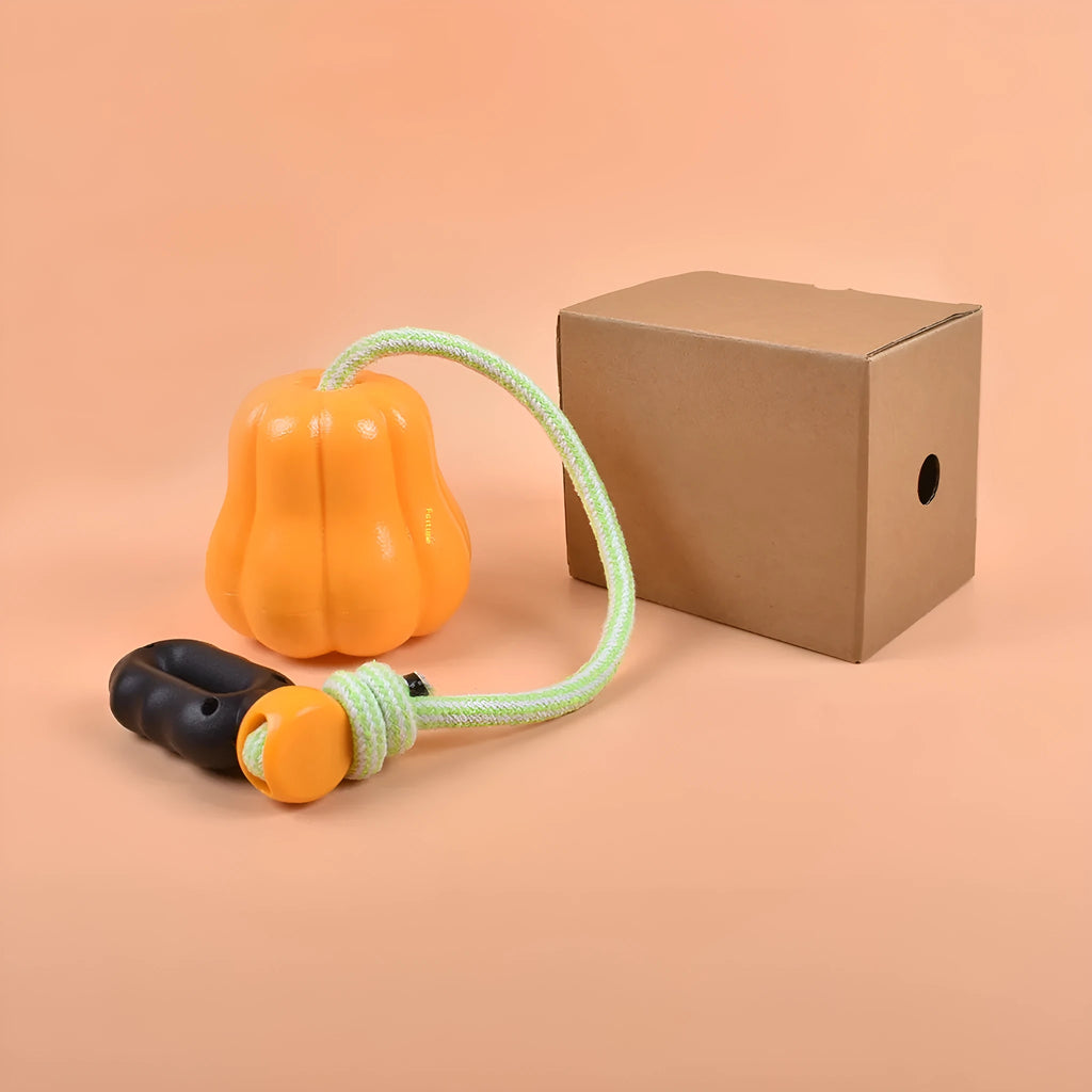 Orange pumpkin-shaped plastic dog chew toy with blue rope attached for tugging and fetching