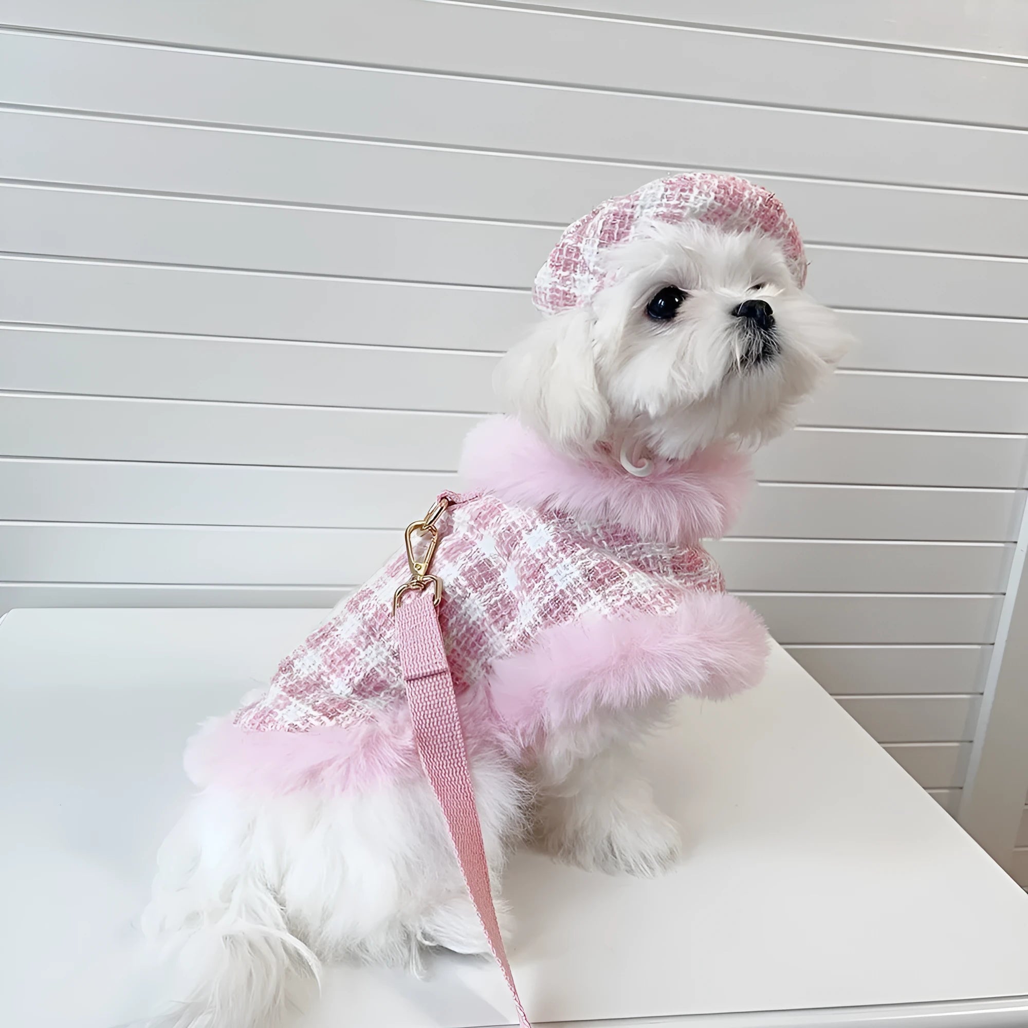 Pink cat costume set with beret and cloak for female cats