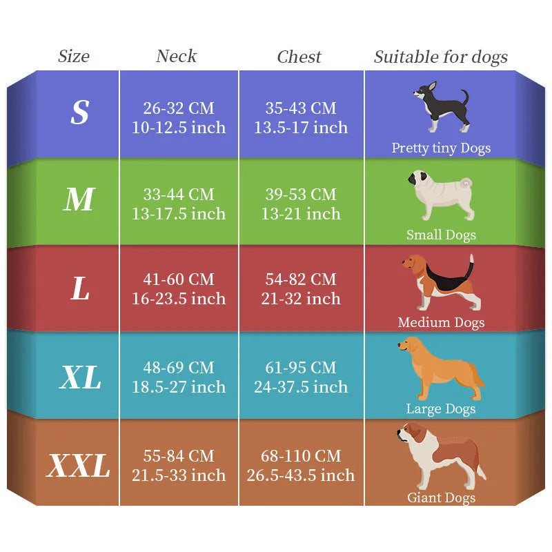 USB rechargeable luminous dog lead with seven colour-changing modes and nylon construction