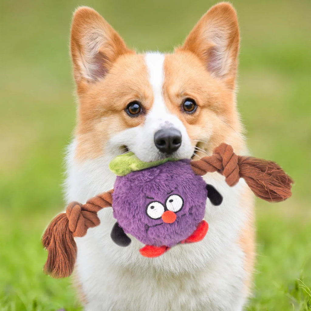 Green and purple plush rope knot dog toy with bite-resistant design for tug-of-war and tooth cleaning