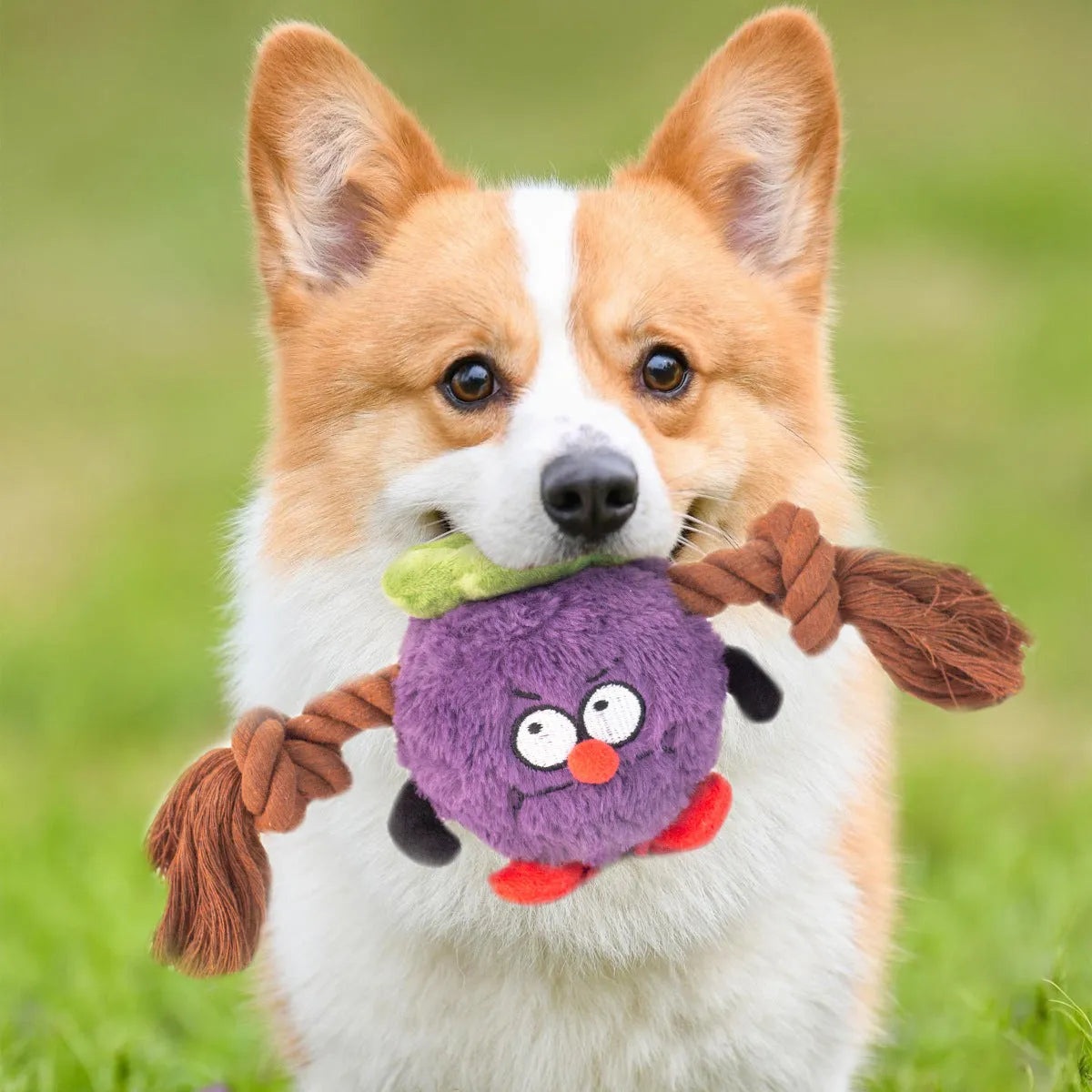 Green and purple plush rope knot dog toy with bite-resistant design for tug-of-war and tooth cleaning