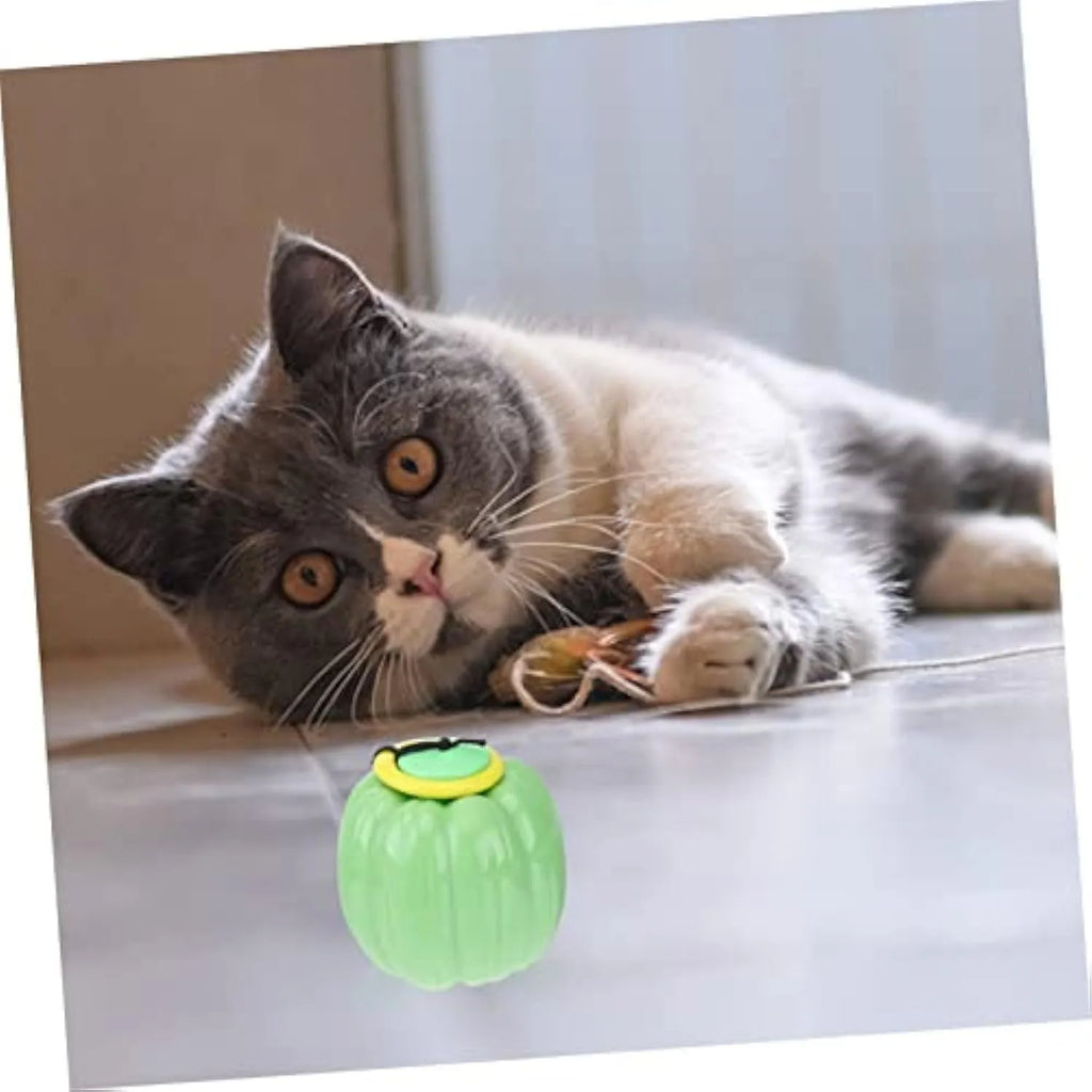 Pumpkin-shaped plastic dog ball with squeaker in green, orange and yellow colours for small dogs