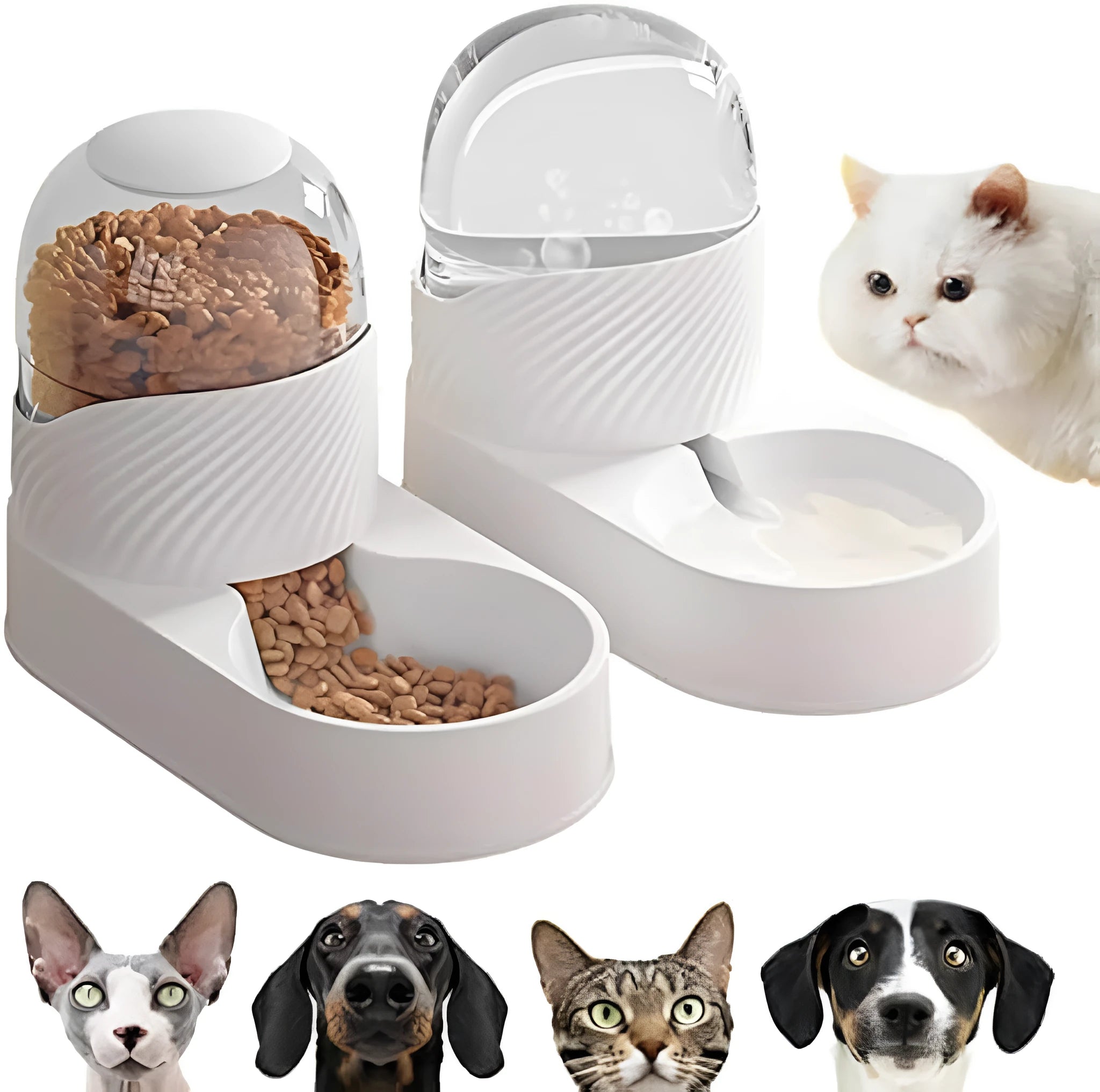 White automatic cat feeder and water dispenser set with wave-shaped design on a table.
