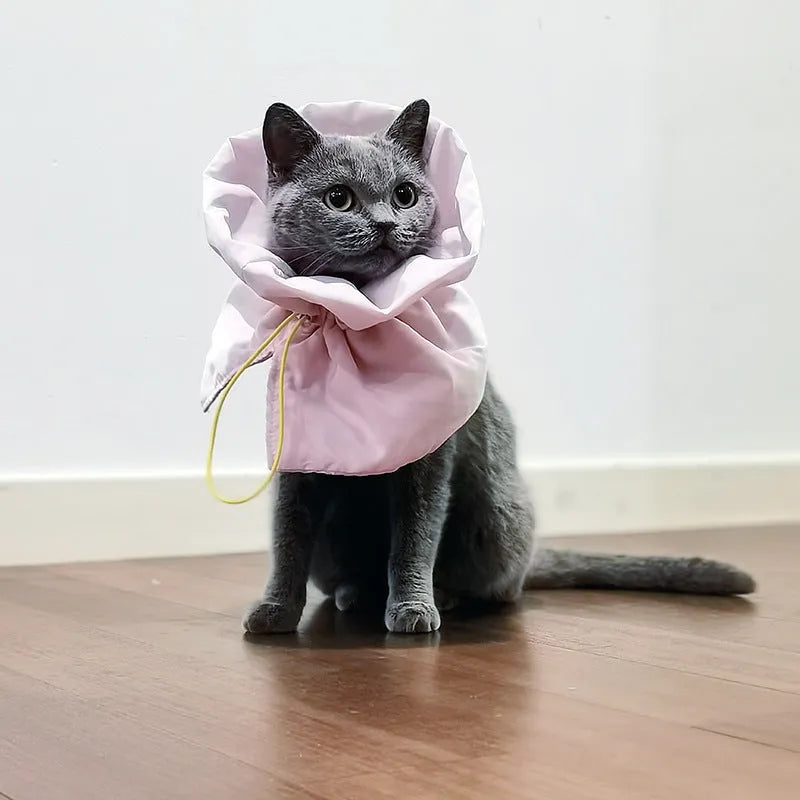 Soft adjustable cat recovery cone collar in light blue with elastic buckle for wound protection