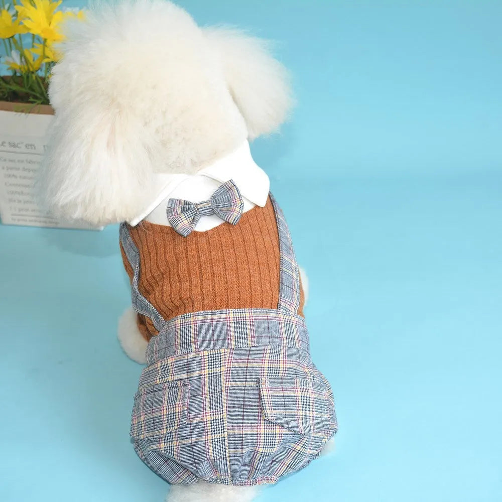 Orange and dark blue cotton dog shirt suit for small dogs on a hanger