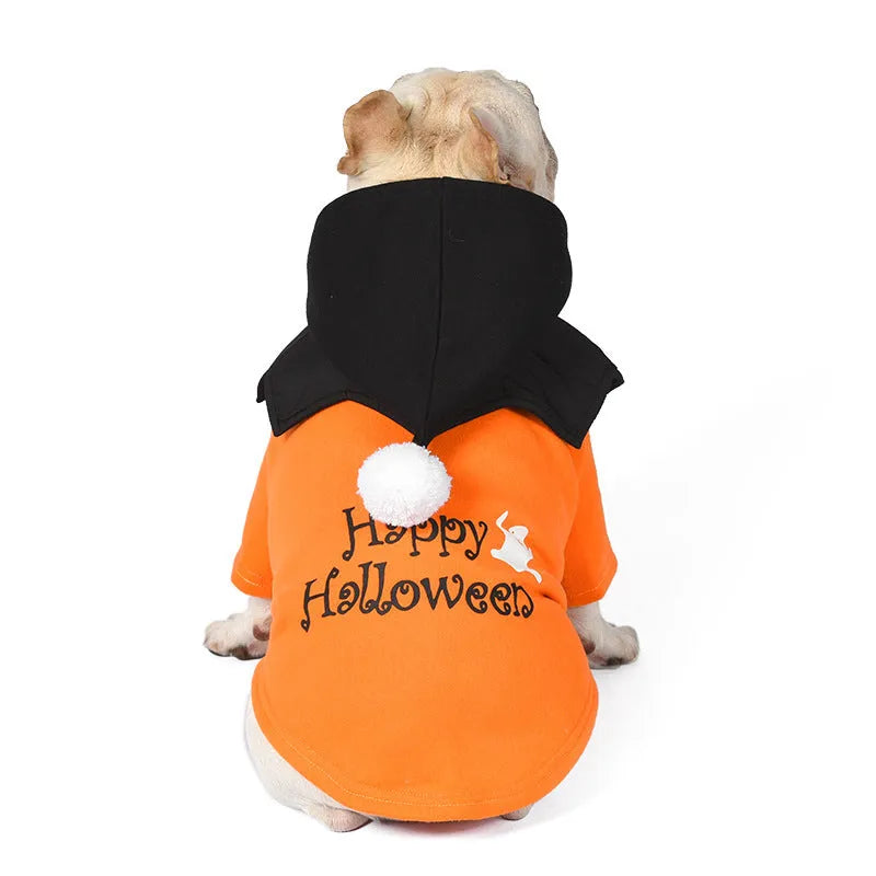 Black and orange Halloween dog costume with pumpkin design showing sweater and shawl two-piece construction