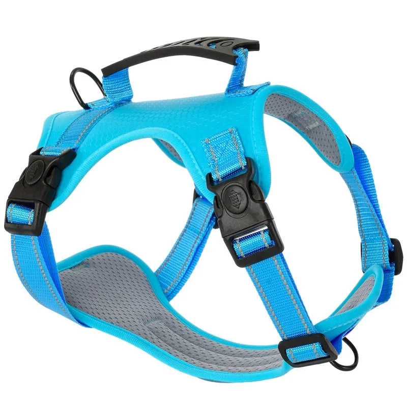 Adjustable dog chest harness with matching lead in multiple colour options