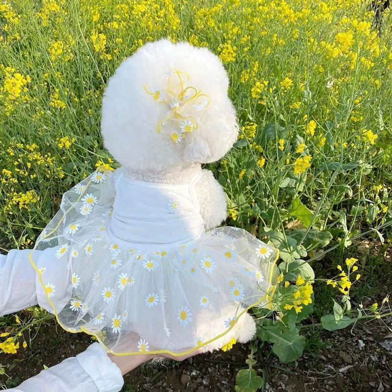 Yellow daisy print dog clothes made from thin polyester fabric for summer wear