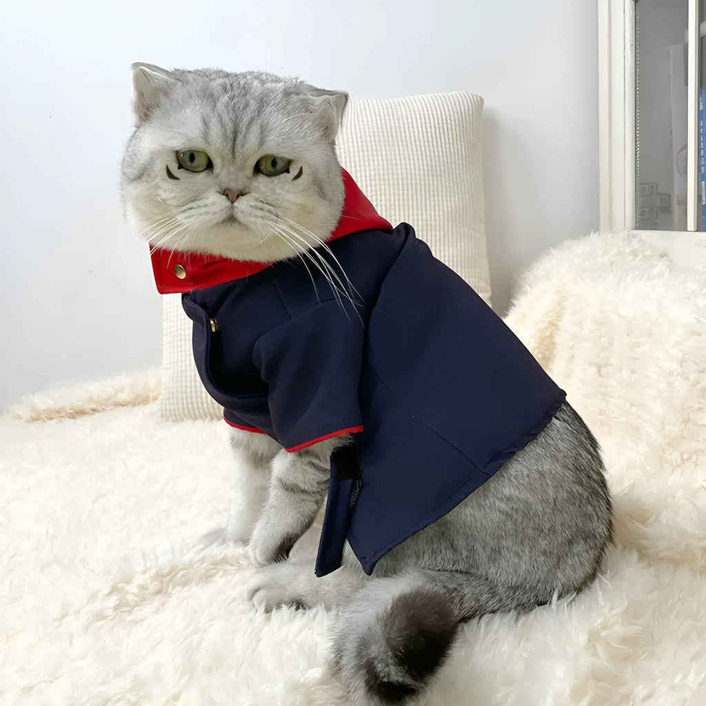 Tiger stripe hoodie costume on pet for photography