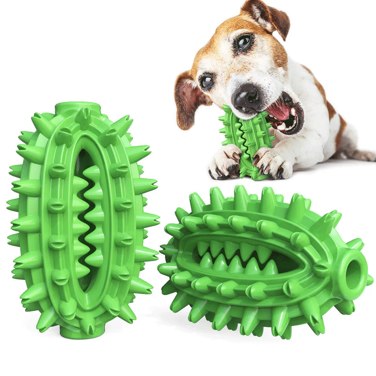 Green cactus-shaped rubber dog chew toy for dental care and aggressive chewing.