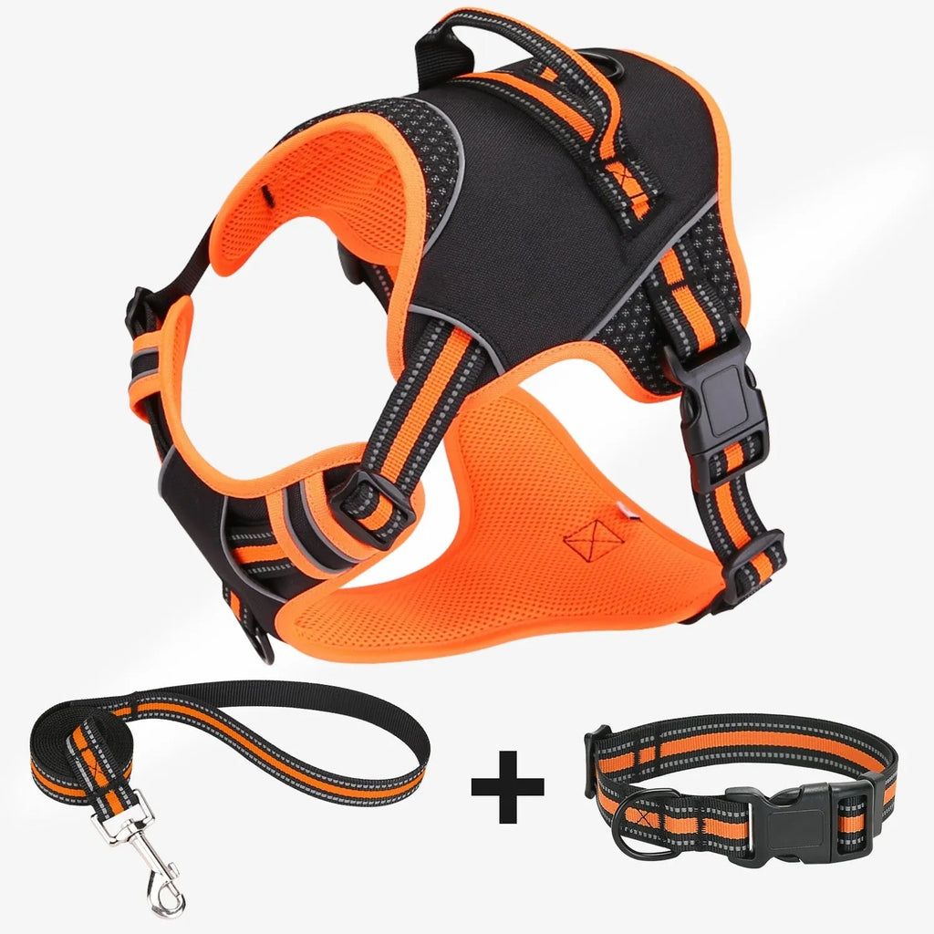 Orange polyester dog harness and leash set with anti-escape design shown on medium-sized dog