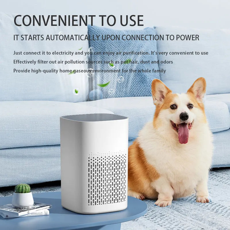Simple style desktop air purifier with USB port for odour and PM2.5 removal.