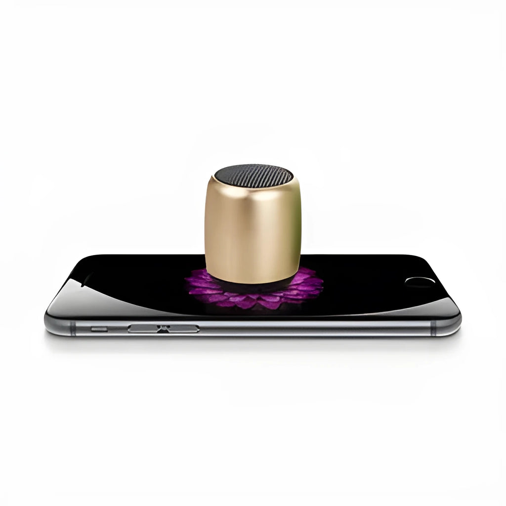 Compact portable Bluetooth wireless speaker shown in one of four colour options: black, blue, gold, or pink.