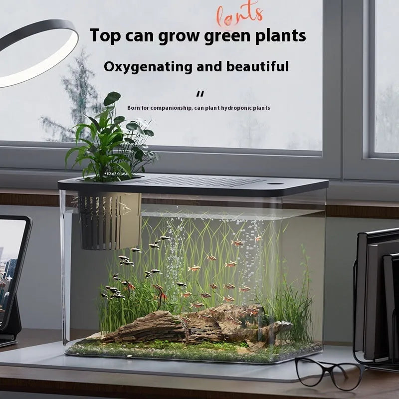 Medium size plastic betta fish tank with lid in black or white colour measuring 32x18.5x23cm