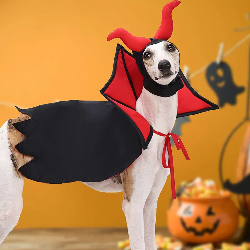 Black polyester vampire cloak and hat costume set for pets