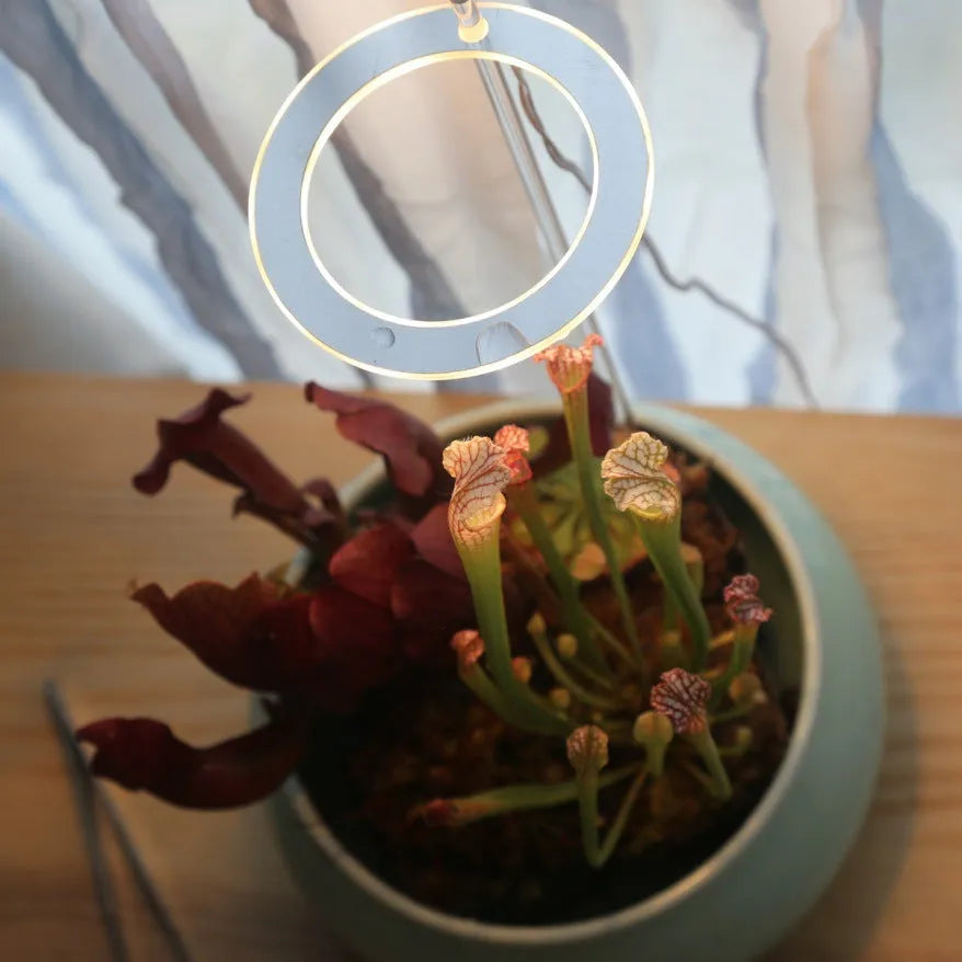 USB LED plant grow light with acrylic stick in pink white or sunshine yellow colour options.