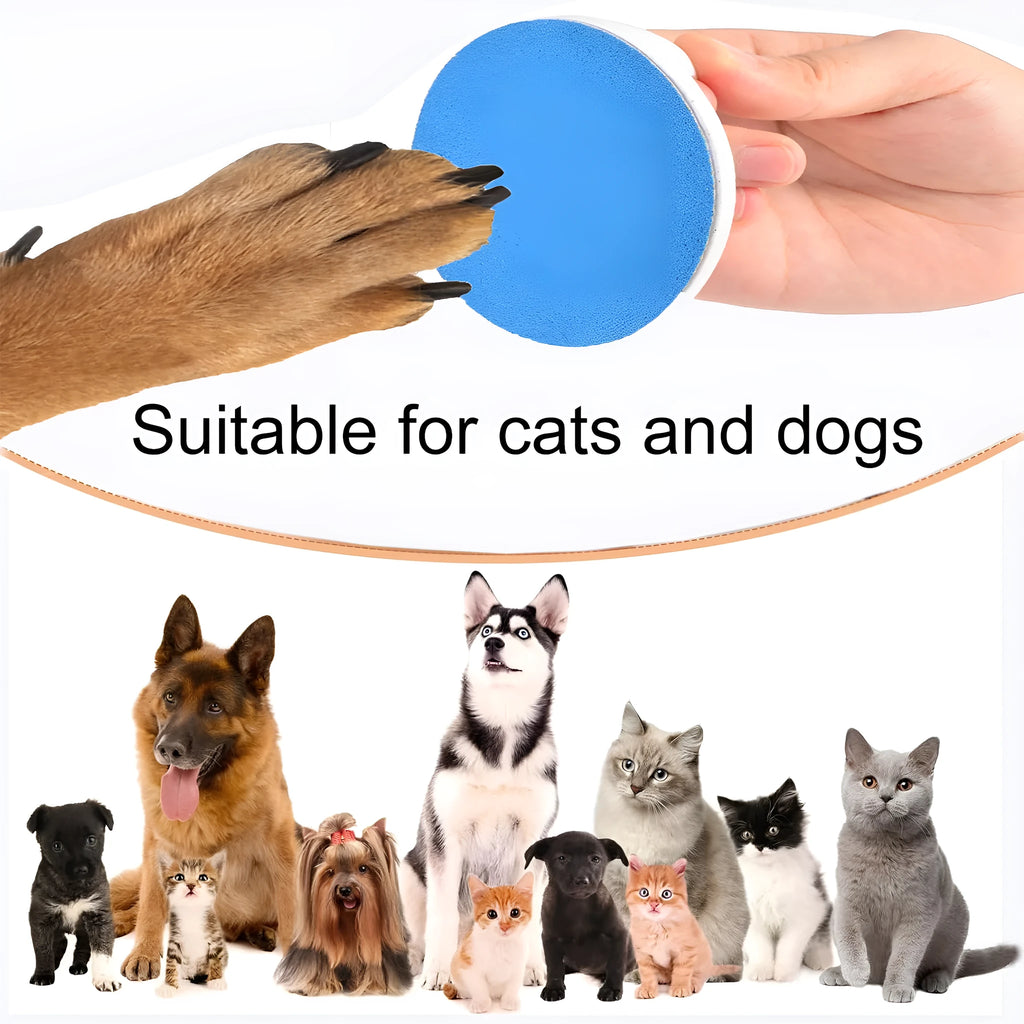 Square blue dog nail file scratch board with ergonomic handle on a white background.