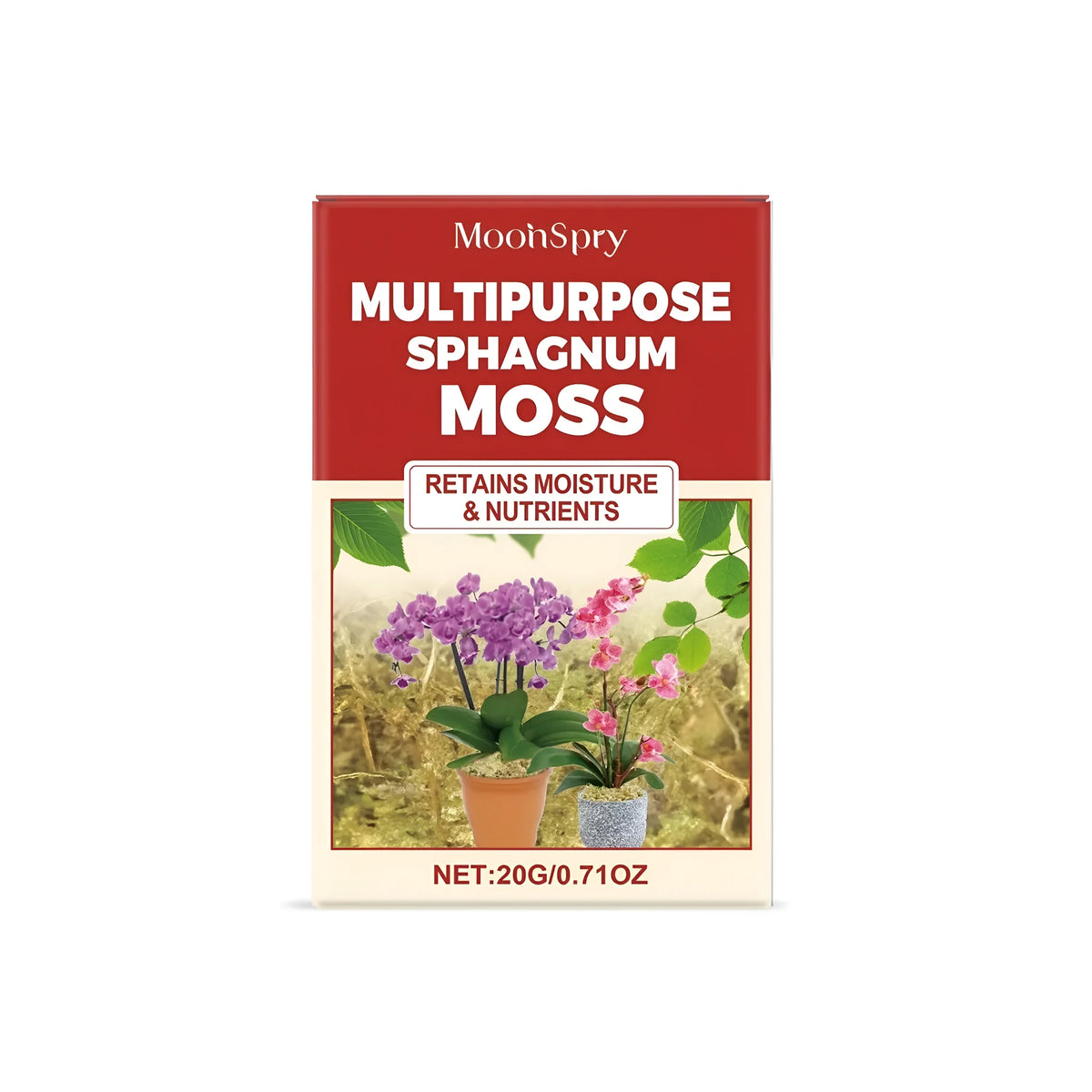 Natural green dried sphagnum moss in 20g pack for terrariums and crafts