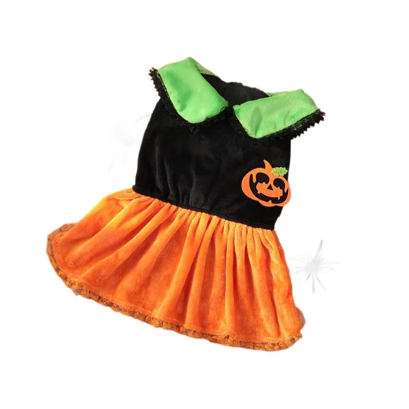 Halloween pumpkin skirt costume for small dog made from crystal velvet fabric with sizing tags