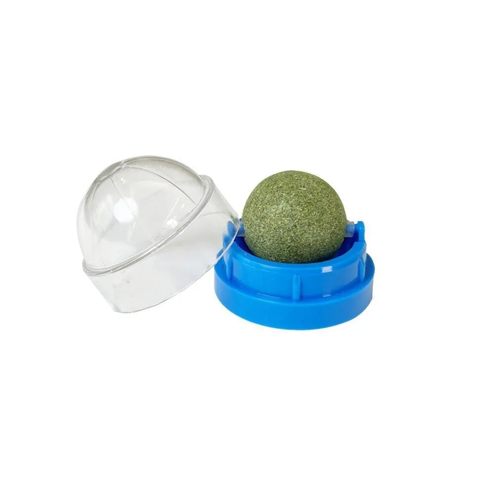 Plastic catnip ball dental toy with cleaning ridges in multiple colour options