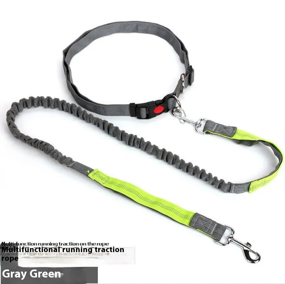Grey and green two-tone nylon dog leash with reflective threads and an elastic section for outdoor running.