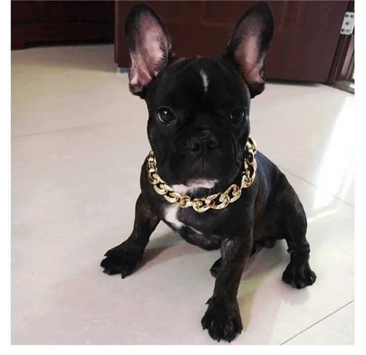 Gold colour chain dog collar with geometric design and adjustable buckle for small to medium sized pets