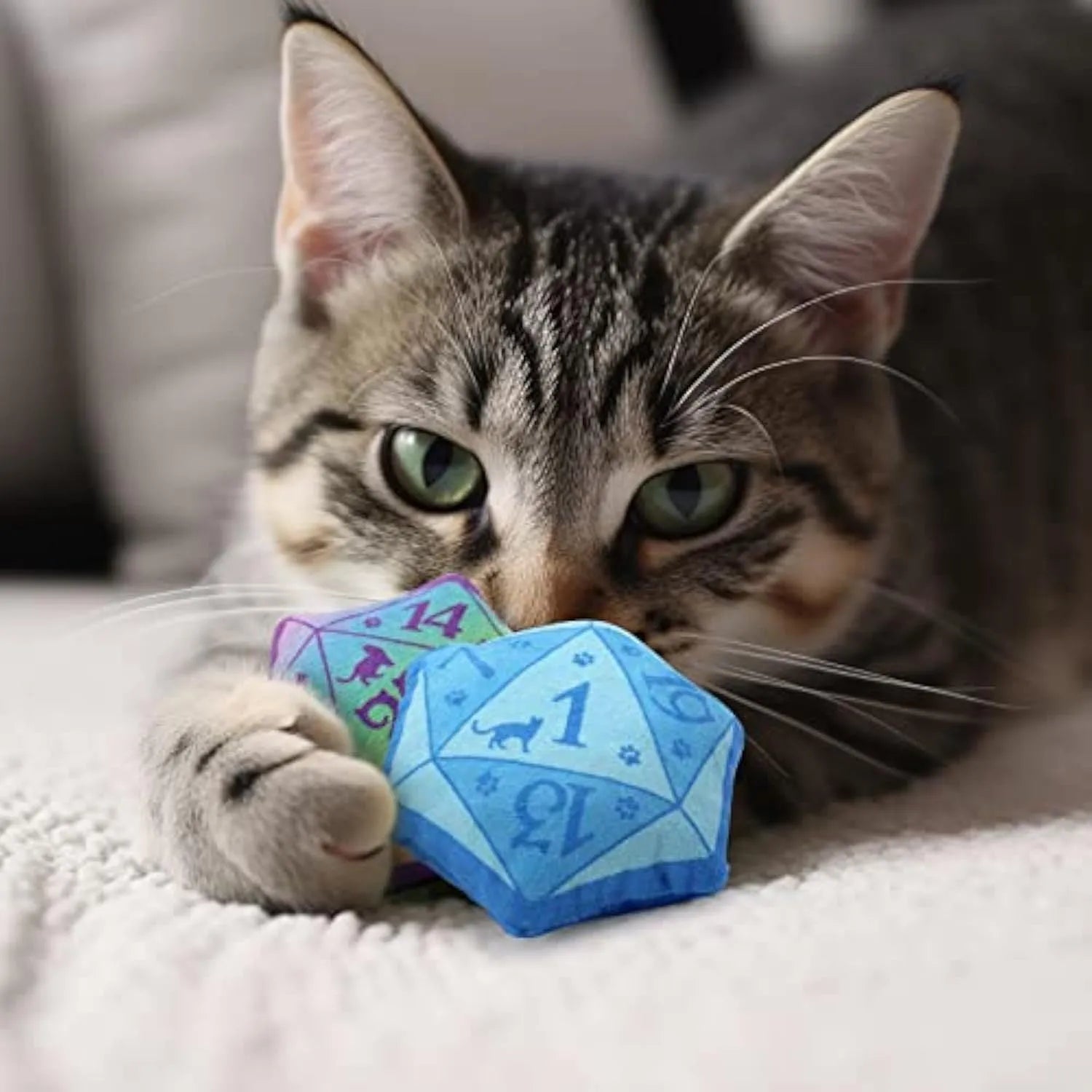 Blue dice-shaped catnip toy with organic catmint filling for interactive feline play