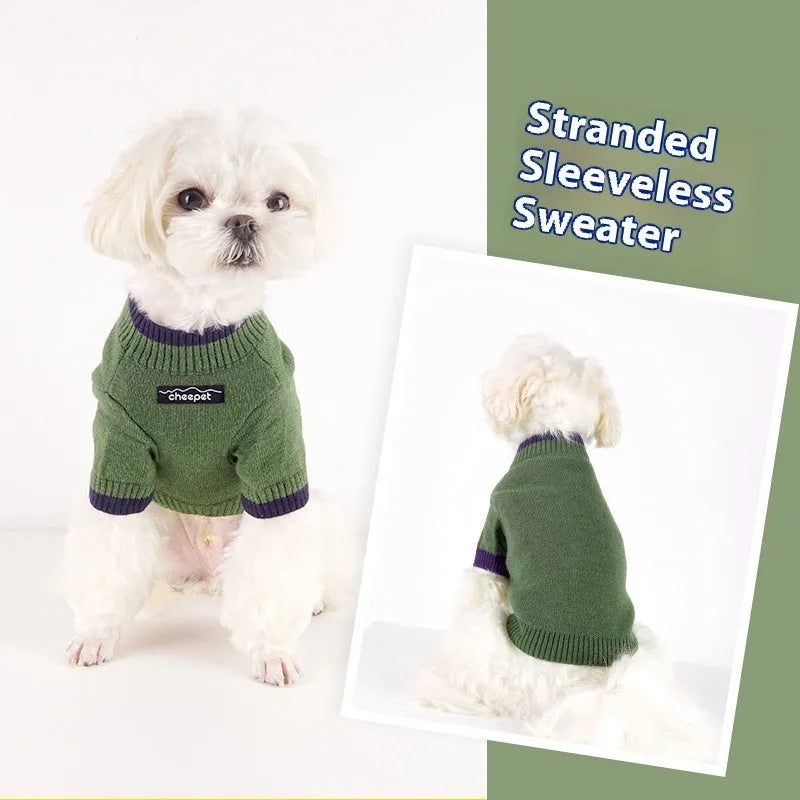 British style woollen pet sweater for dog or cat with contrast colour on two legs