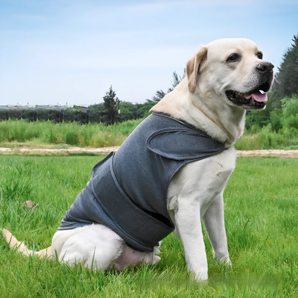 Dog wearing brown brocade cotton tank top for separation anxiety relief