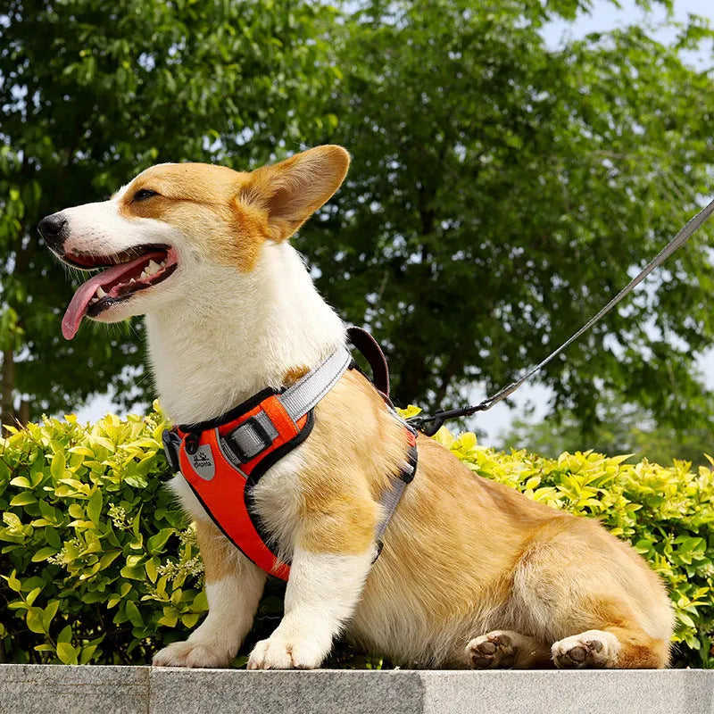 Adjustable polyester dog chest harness in multiple colours with optional hand-holding rope attached.