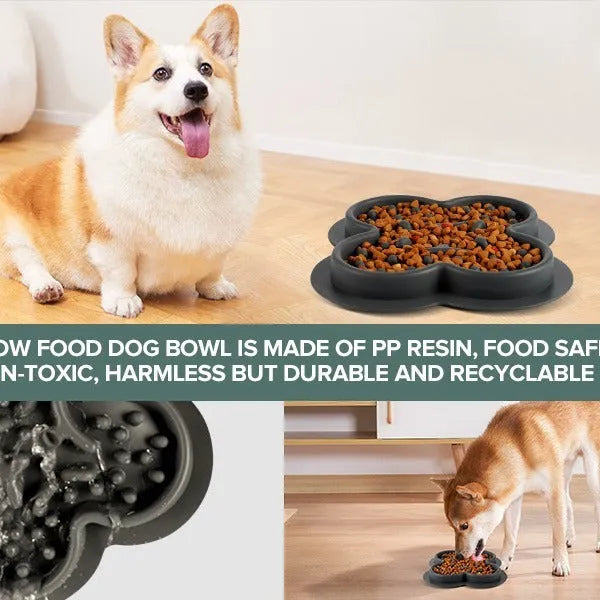Silicone slow feeder licking pad for pets in various colours on a kitchen floor