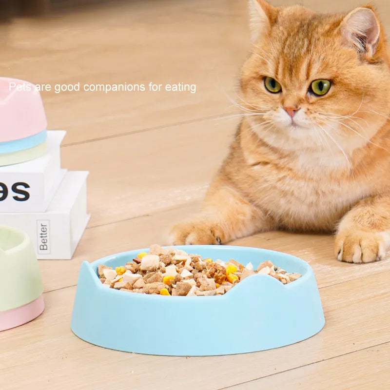 Ceramic dog slow feeder bowl with puzzle cup maze design in blue colour