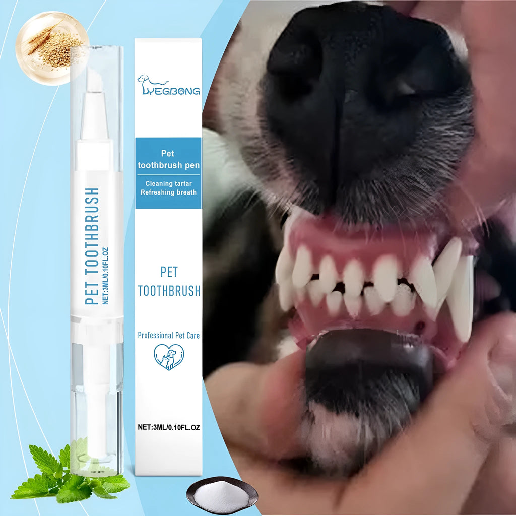 Soft-bristled pet toothbrush pen for cleaning cat and dog teeth.