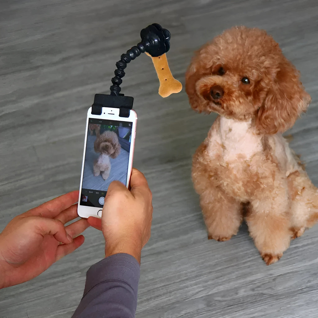 Black pet photography tool with rotating mount and phone clip for holding treats during animal photoshoots