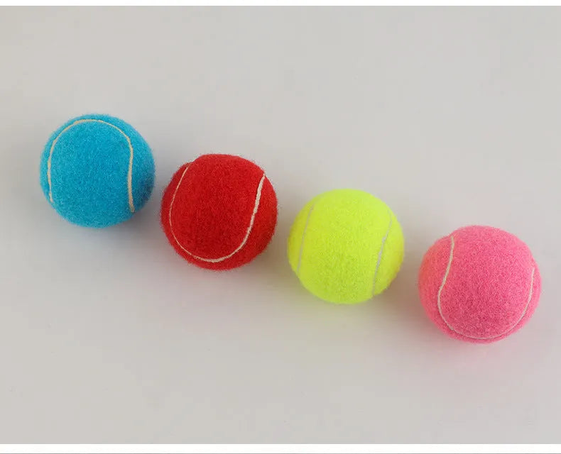 Rubber dog tennis ball toy in assorted colours with 6.3cm diameter for bite-resistant fetch games